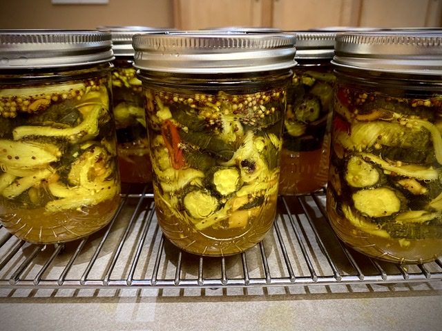 Canning sweet pickles using pint jars, cooling down after 15 minutes hot water bath.