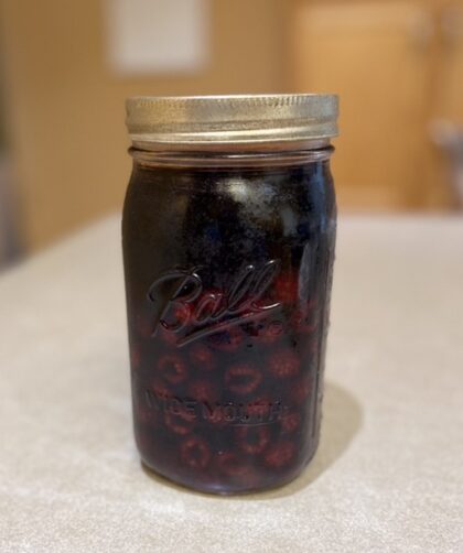 Raspberry Vinegar infusion
