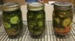 DIY Pickle Kit (No Jar) - Snappy & Sweet - 24 Packets main image 1